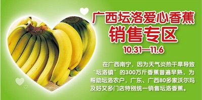 廣東、廣西80多家沃爾瑪門(mén)店正銷(xiāo)售廣西壇洛<br />由于早熟而引起的滯銷(xiāo)香蕉。